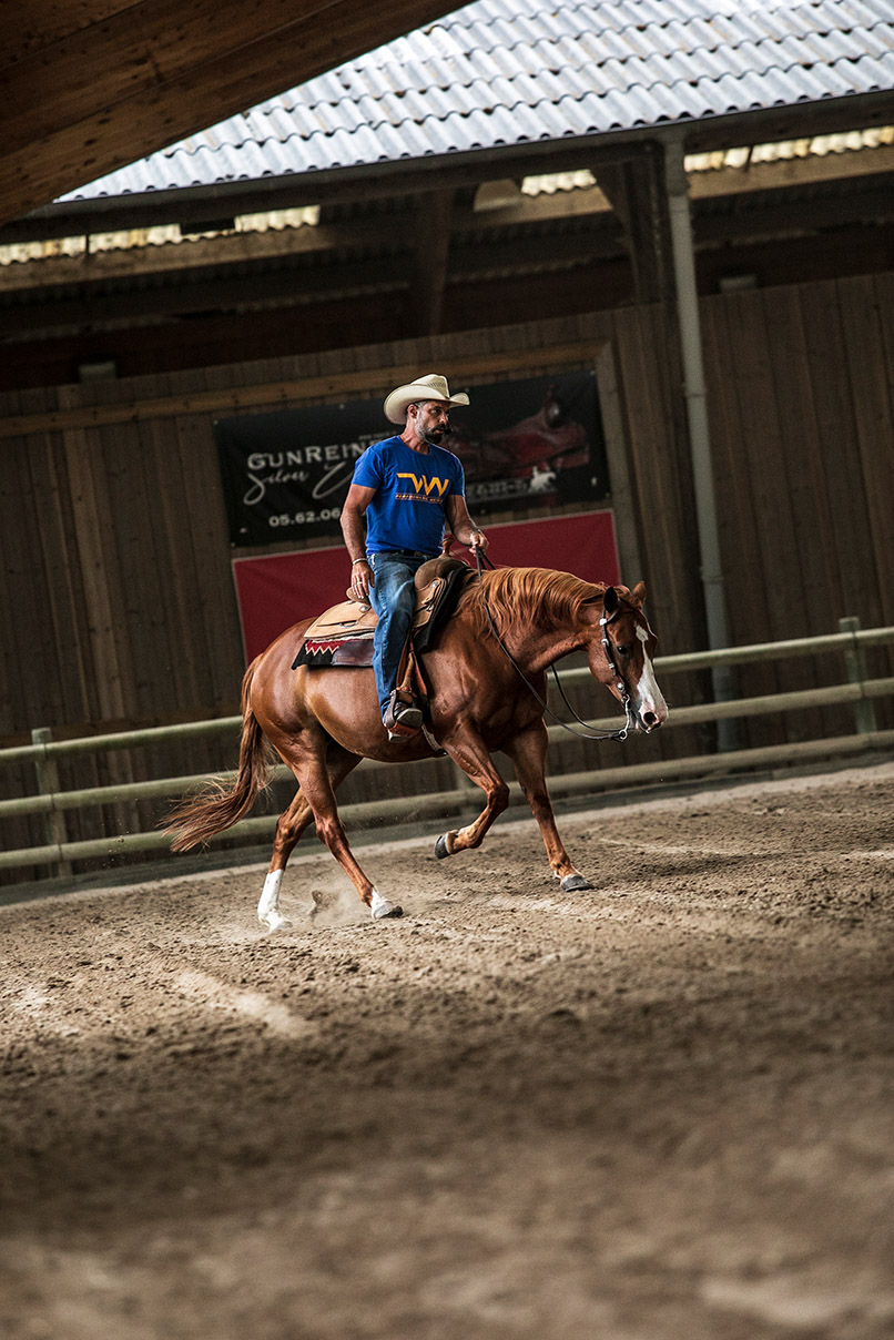 Cavalier entrainement Westerlies