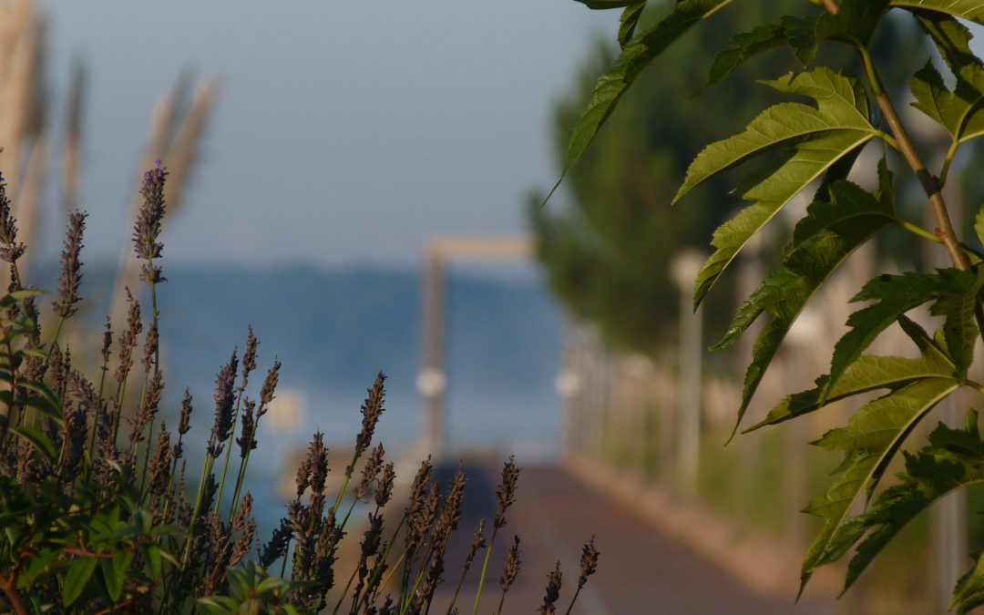 Quoi faire au printemps à Hourtin ?